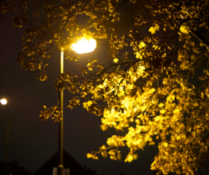 drunk under a streetlight